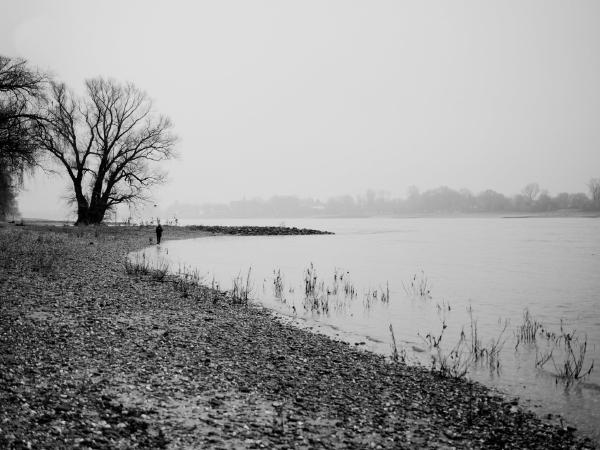 52 Weeks Rhine Kilometer 749 - 760