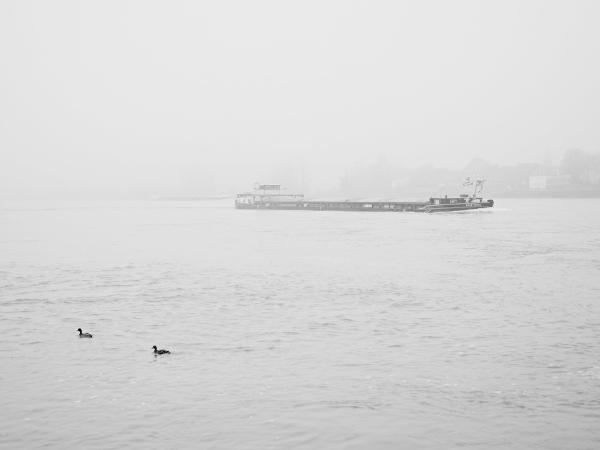 Week 09 - Fog