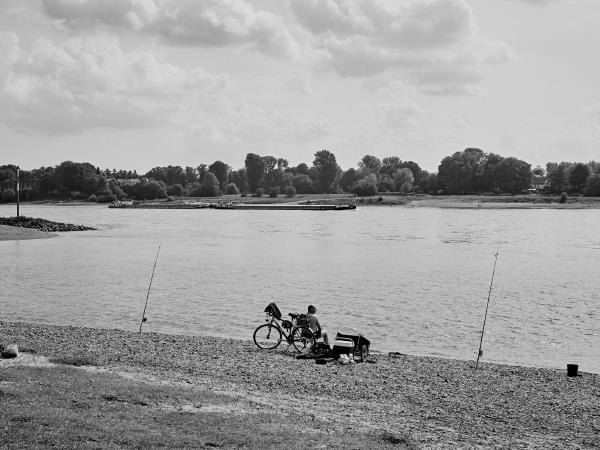 Week 21 - Angler's luck. Anglers on the Rhine are no longer a rarity. The river offers with species richness and stock good conditions for fishing success.
