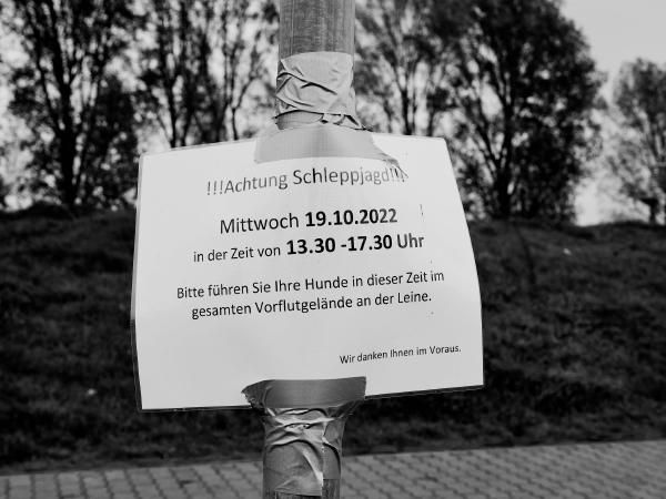 Week 42- !!!Attention drag hunt!!! The landscape along the Rhine is used for many activities. Here for a drag hunt on the banks of the Rhine in the area of Meerbusch-Büderich. A drag hunt is not a hunt for animals, but an organized ride into the countryside with dogs that follow an artificial, previously laid track.