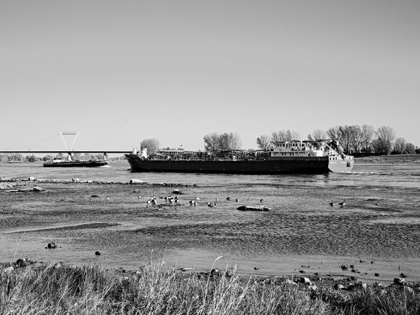 Week 44 - Destination Scotland. Raised bow and free-fall lifeboat at the stern, so not a pure river tank vessel. A not everyday type of ship on the Rhine. The Sea/River-going vessel "Twister," an LPG tanker, passes downstream the Rhine bank Meerbusch-Büderich on November 1, 2022. The night before, the Twister was unloaded at Chempark Dormagen. The next destination is the seaport of Grangemouth in Scotland.