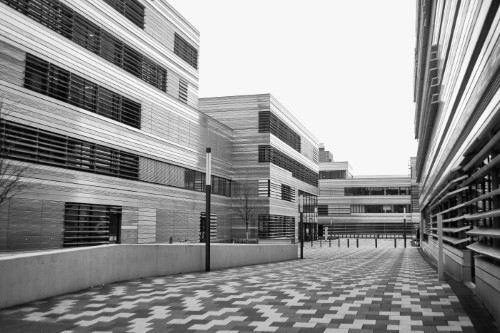 Campus Hochschule Düsseldorf (2021, Zeiss Jena Flektogon 2,8/35)