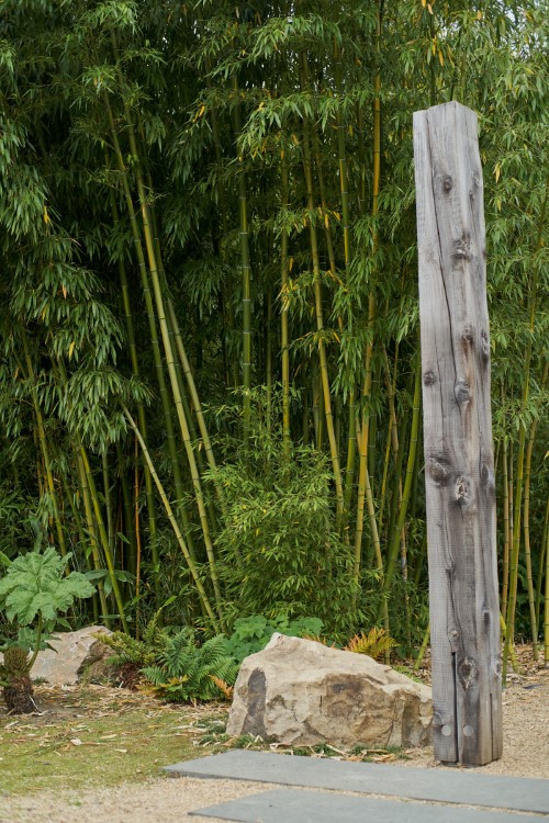 Bambus im Park von Schloss Dyck (2020, Zeiss Planar 1,4/50 T*)