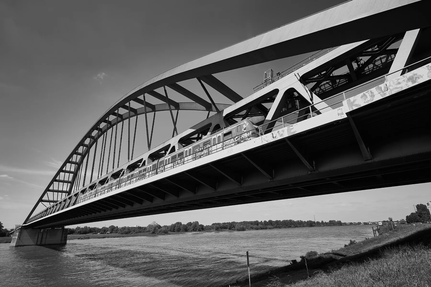Blick vom Rheinufer auf die Hammer Brücke. Eine S-Bahn fährt gerade über die Brücke. Das Foto ist ein schwarz-Weiss Foto.