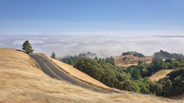 Mount Tamalpais, California (2017)