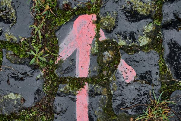 Straight ahead (2020)