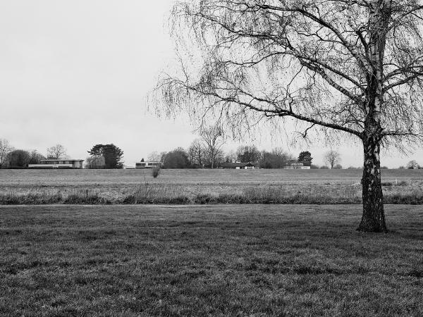 Rhine dike near Langst-Kierst, Meerbusch (2022)