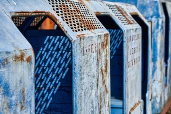 Blue mine Train (2022)